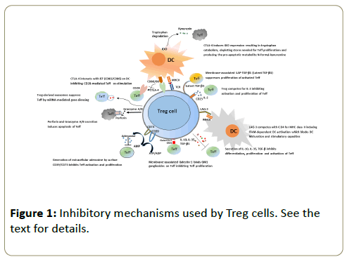 autoimmunediseases-Inhibitory-mechanisms